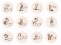 advent-zahlen-tiere-2.jpg